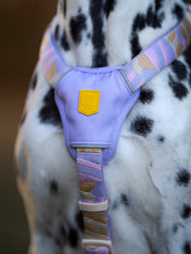 Woolly-Wolf-harnais-pour-chien-Sunshower