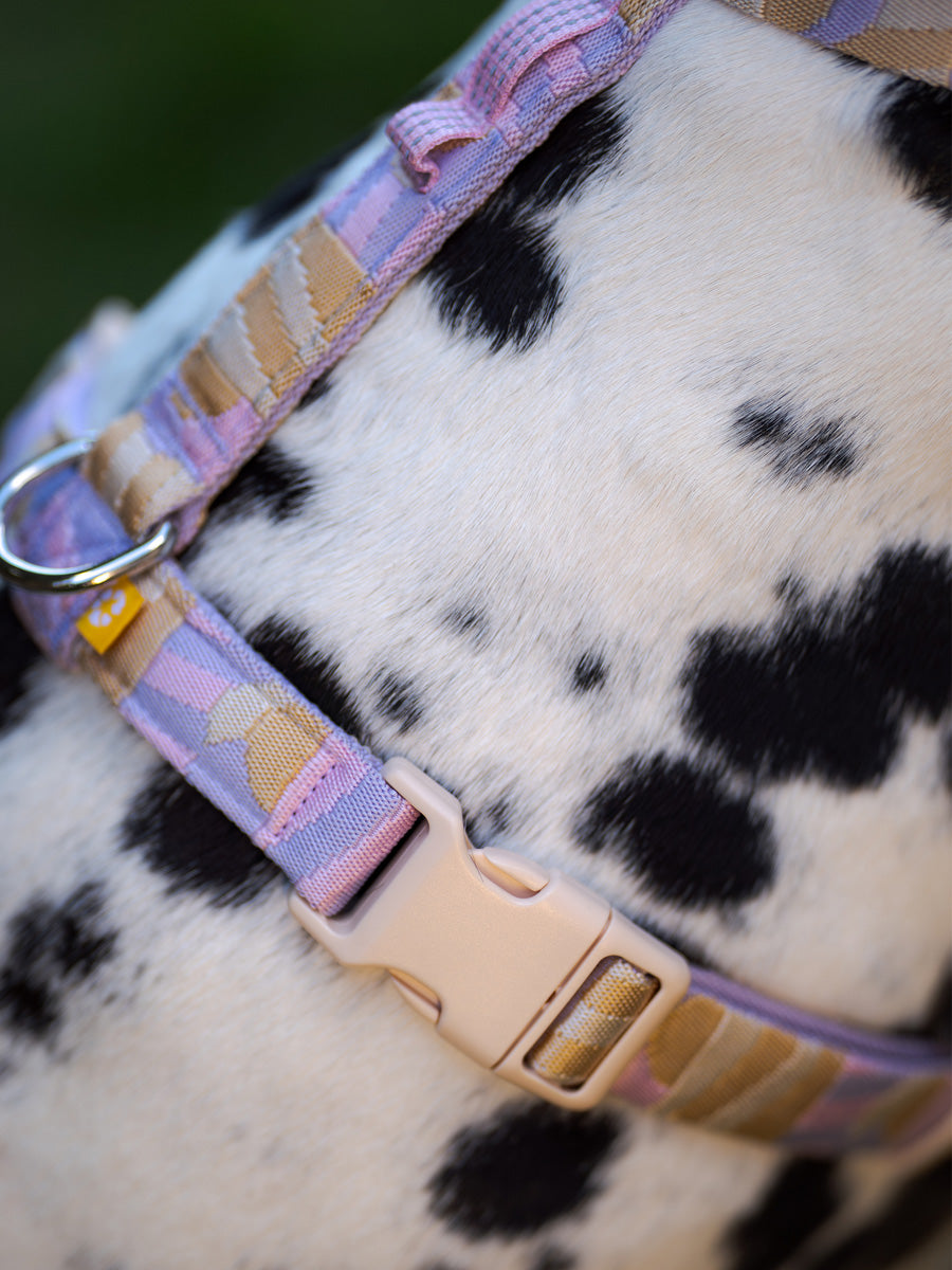 Woolly-Wolf-harnais-pour-chien-Sunshower