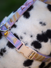 Woolly-Wolf-harnais-pour-chien-Sunshower