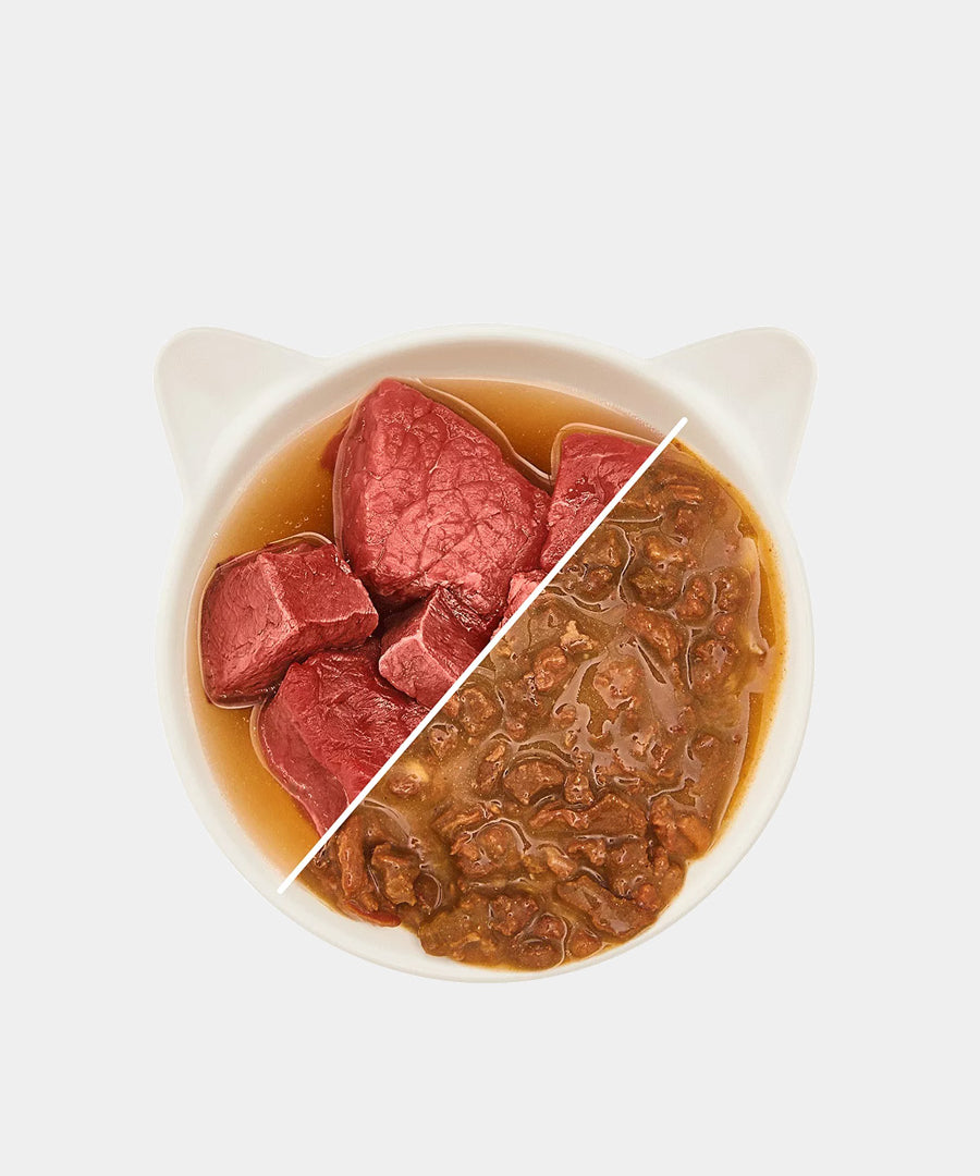 Wow-cat-filets-boeuf-en-sauce-pour-chat