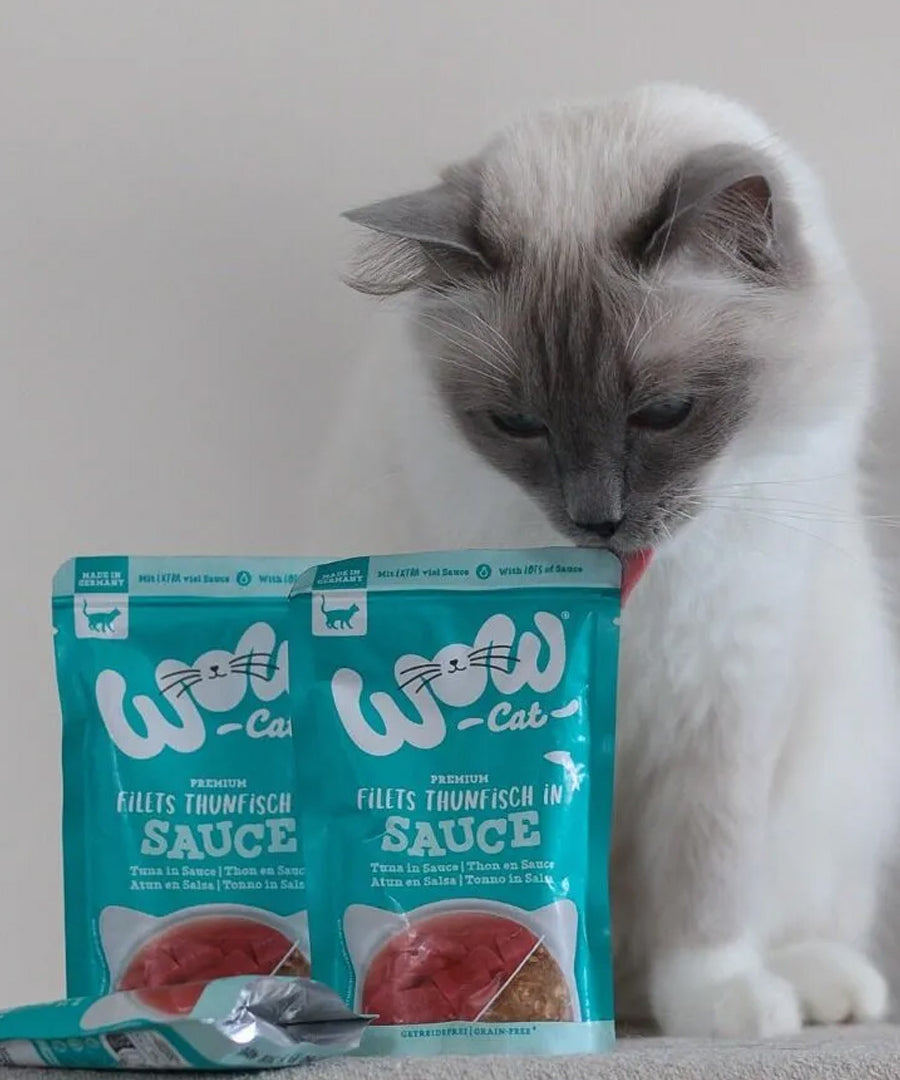 Wow-cat-filets-poulet-en-thon-pour-chat
