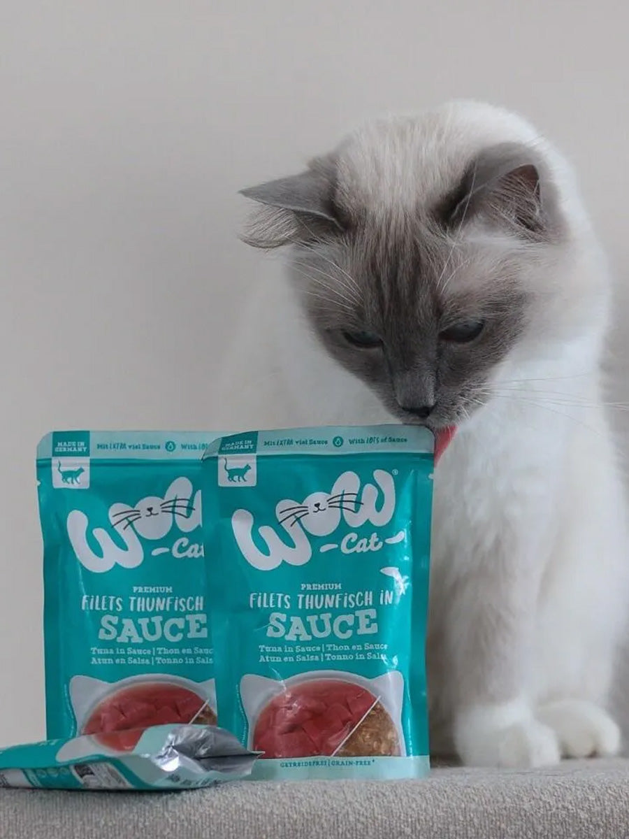 Wow-cat-filets-poulet-en-thon-pour-chat