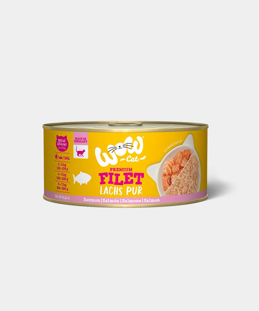 Wow-cat-filets-premium-saumon-pour-chat