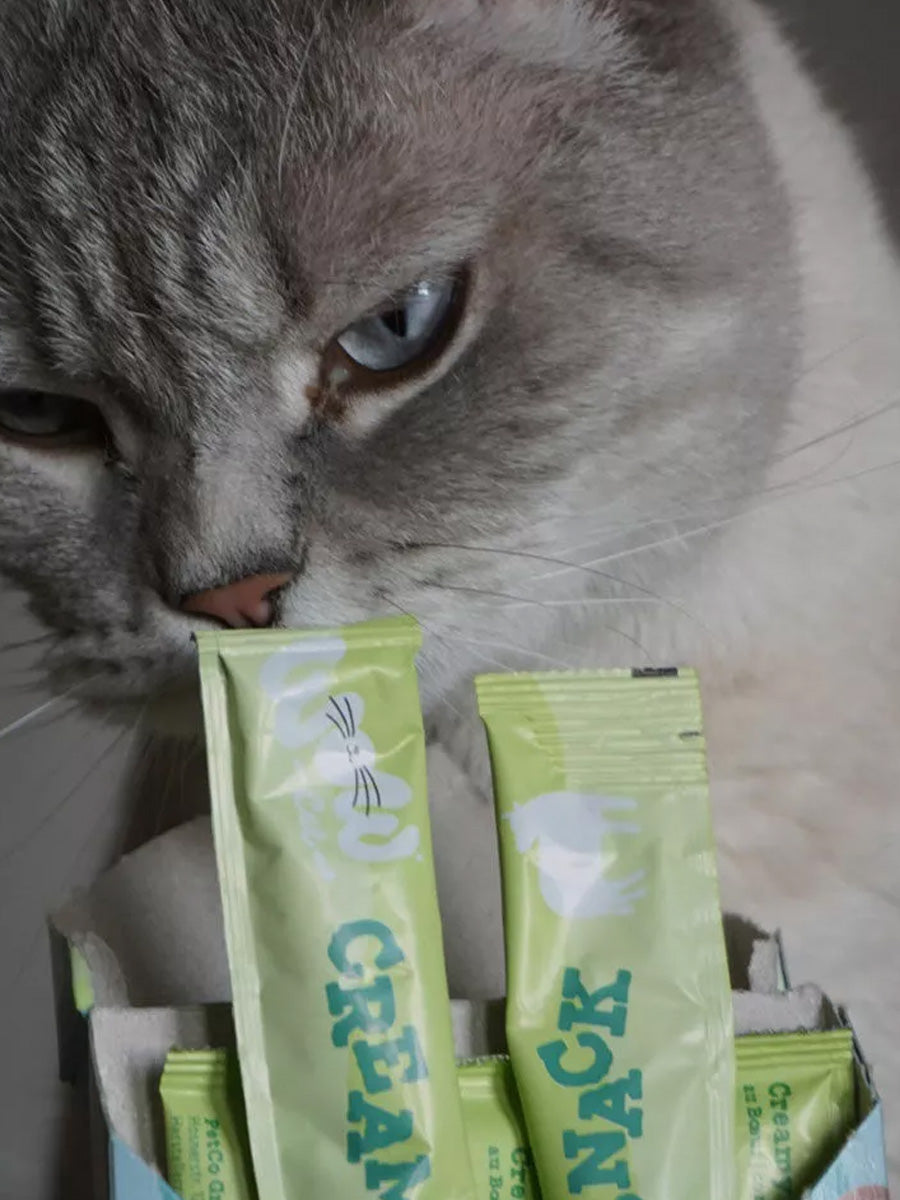 Wow-cat-friandises-a-lecher-pour-chat-creamies-boeuf