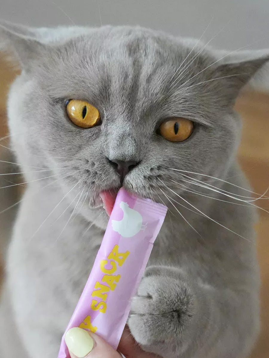 Wow-cat-friandises-a-lecher-pour-chat-creamies-poulet