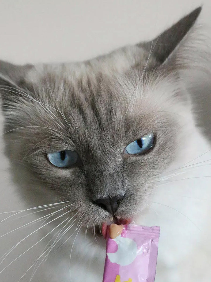 Wow-cat-friandises-a-lecher-pour-chat-creamies-poulet