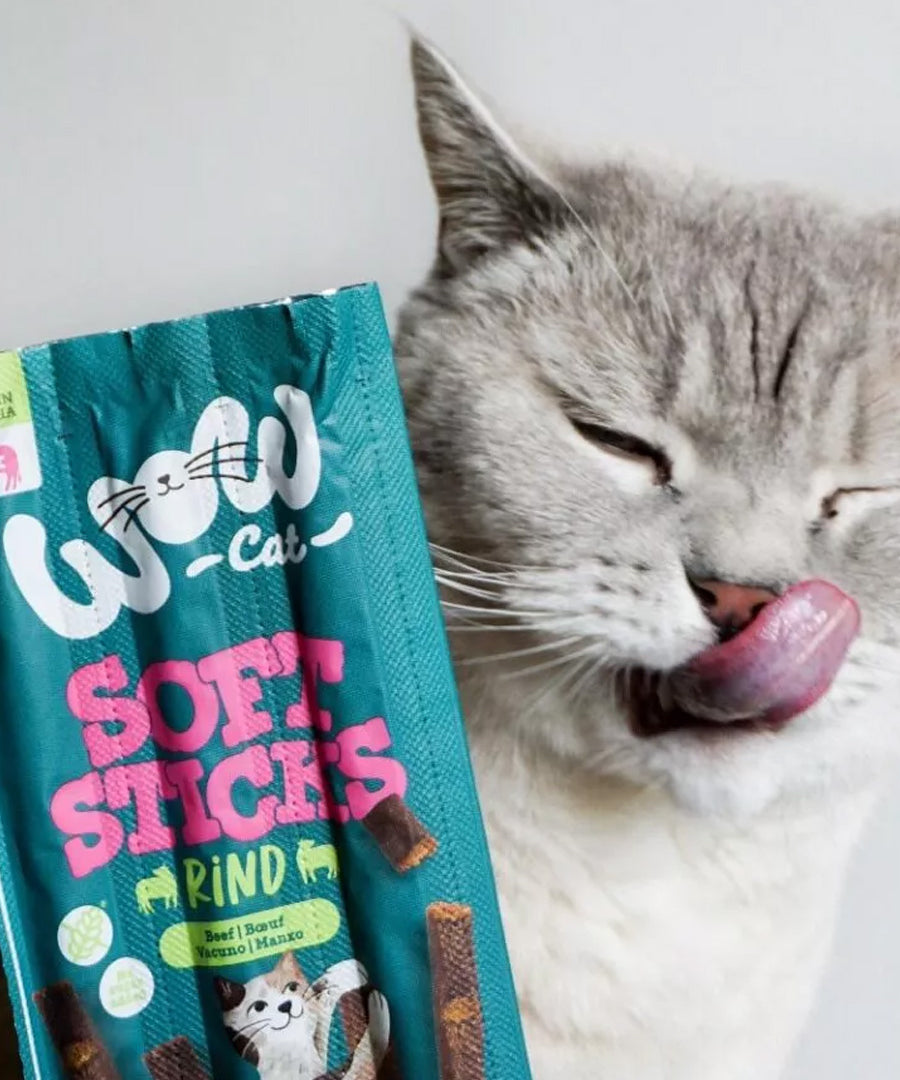 Wow-cat-friandises-pour-chat-stick-boeuf