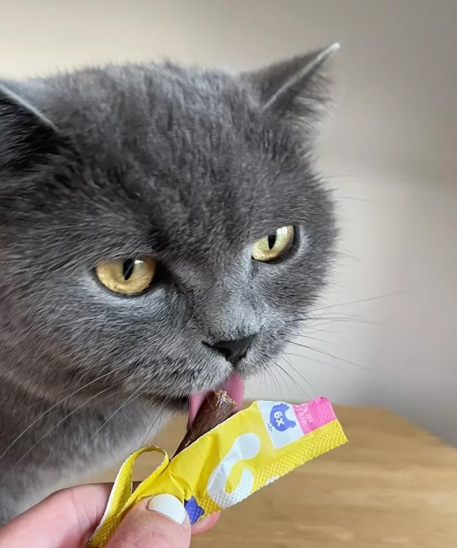 Wow-cat-friandises-pour-chat-stick-poulet