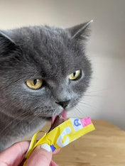 Wow-cat-friandises-pour-chat-stick-poulet