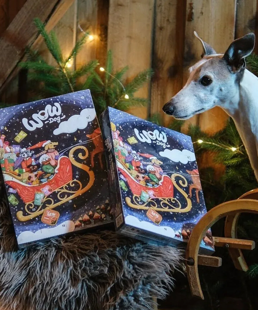 Wow-dog-calendrier-de-l-avent-pour-chien-2026