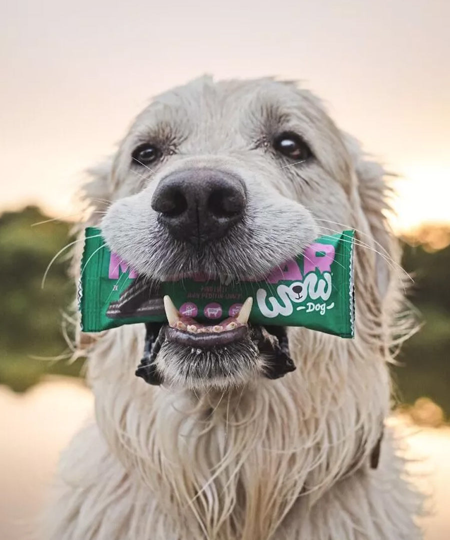 Wow-dog-friandises-pour-chien-bar-proteinees-boeuf