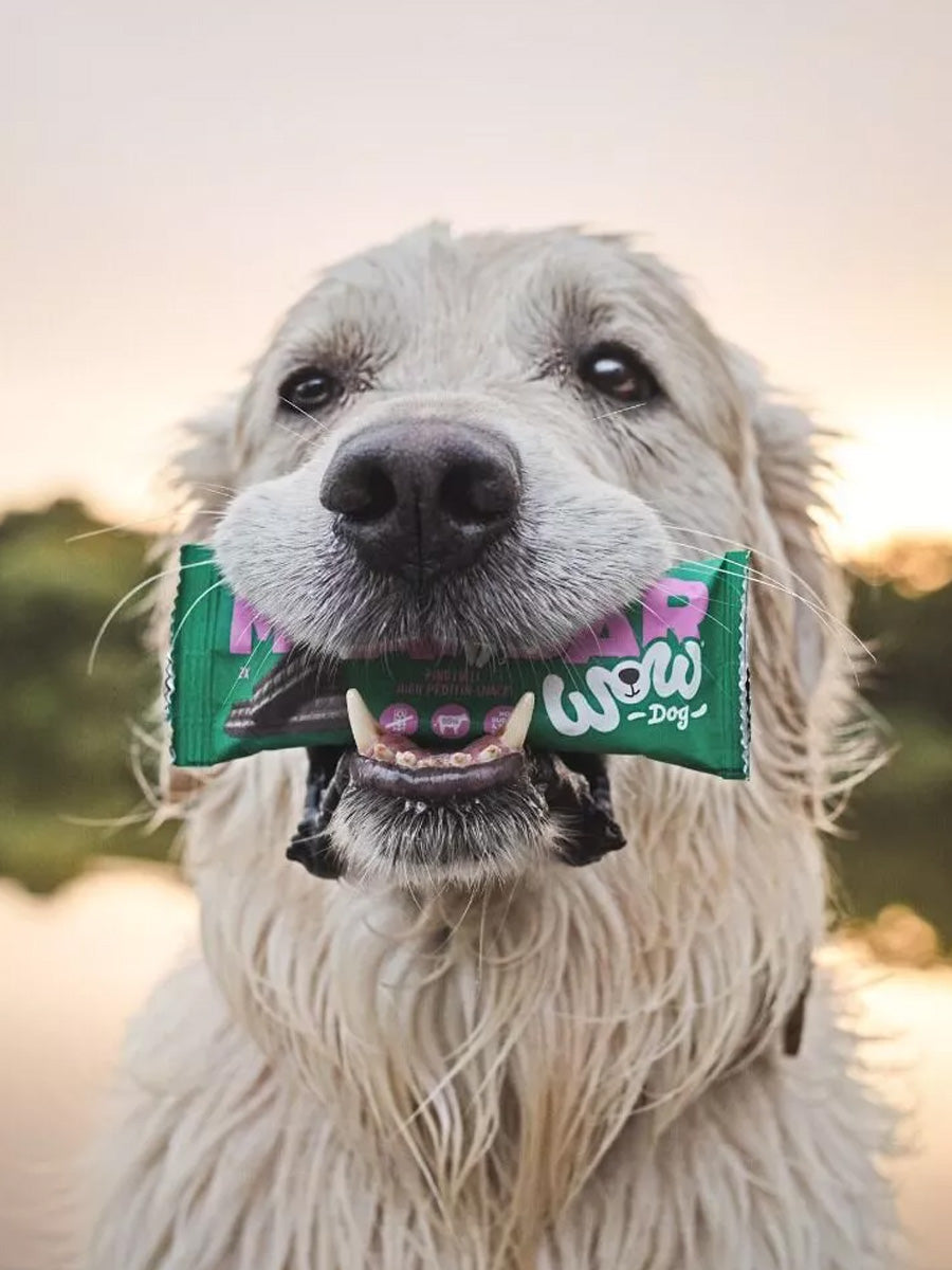 Wow-dog-friandises-pour-chien-bar-proteinees-boeuf