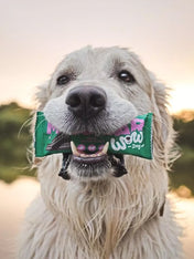 Wow-dog-friandises-pour-chien-bar-proteinees-boeuf