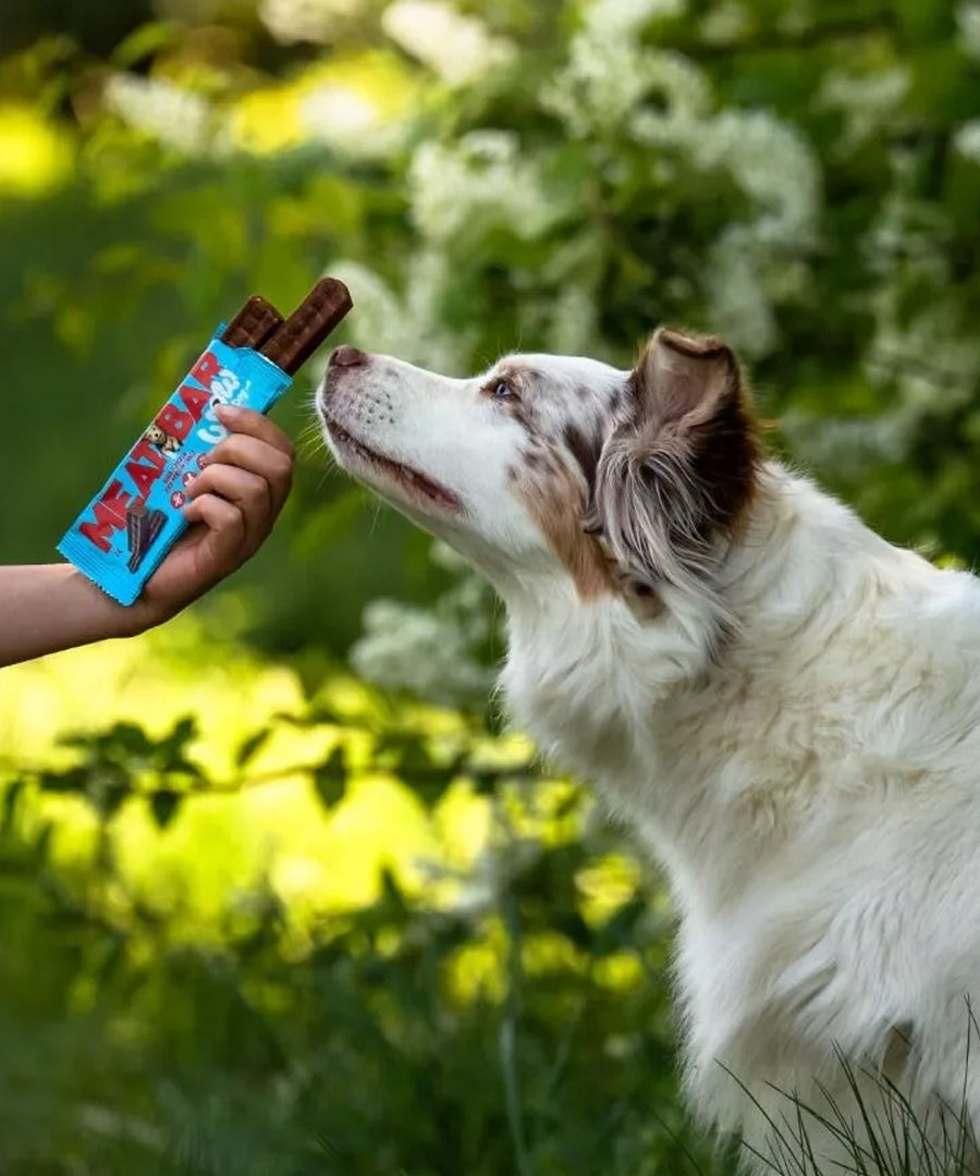 Wow-dog-friandises-pour-chien-bar-proteinees-poulet