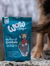 Wow-dog-friandises-stick-dentaire-pour-chien-small