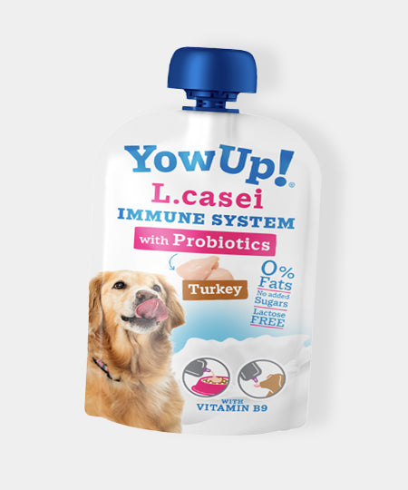 Yowup-Yahourt_pour-chien-probiotique-poulet