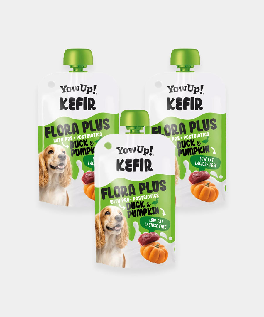 Yowup-Yahourt-pour-chien-kefir-plus-canard