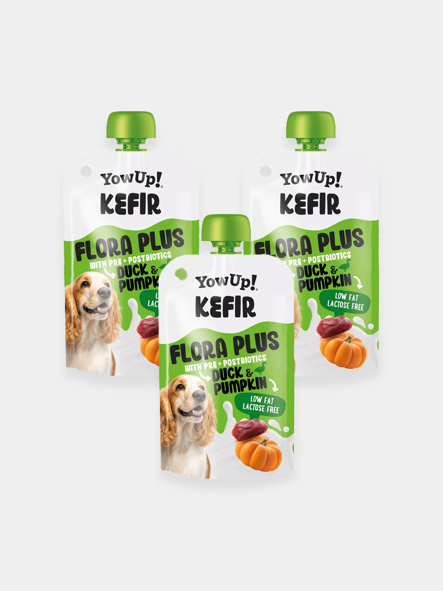 Yowup-Yahourt-pour-chien-kefir-plus-canard