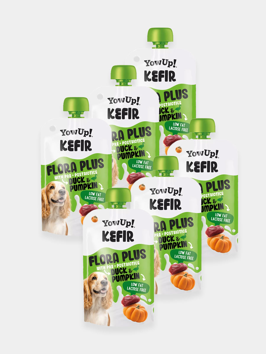 Yowup-Yahourt-pour-chien-kefir-plus-canard