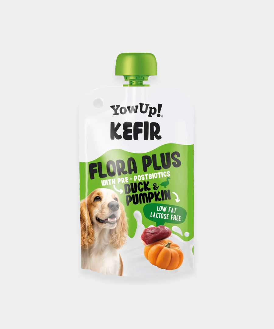 Yowup-Yahourt-pour-chien-kefir-plus-canard