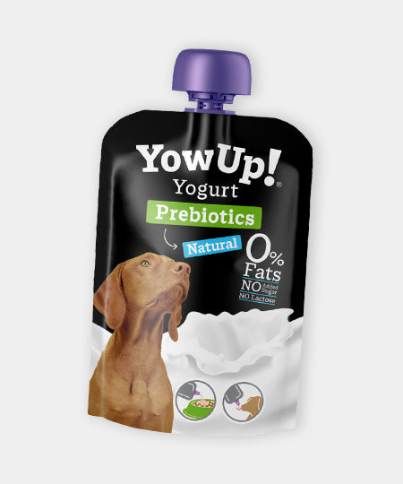     Yowup-Yahourtpour-chien-prebiotics-naturel