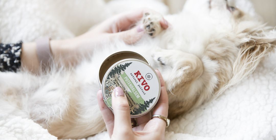 baume réparateur pour chien - inooko