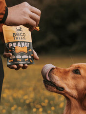       becopets-friandises-naturelles-pour-chien-beurre-de-cacahuete-noix-de-coco-curcuma