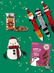 box de noel bonhomme de neige