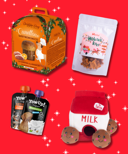 boxdenoelpourchieninooko-SelectiondupereNoel.png