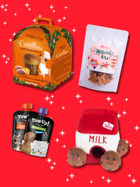 Box de Noël pour chien - Sélection du Père Noël