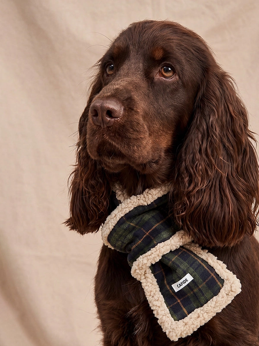 cafide-echarppe-pour-chien-premium-Mica-vert-Tartan