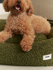 cafide-panier-pour-chien-premium-Snozy-bouclette-verte