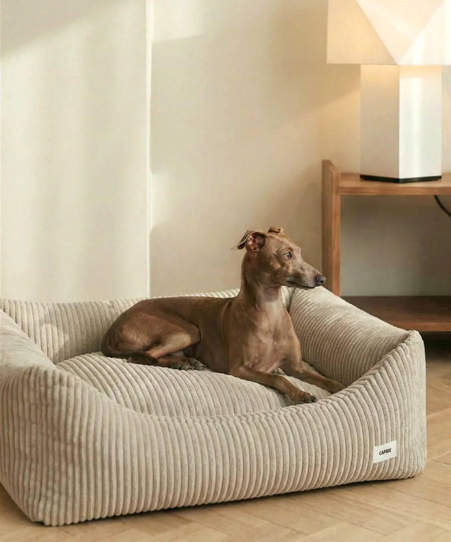 cafide-panier-pour-chien-premium-Snozy-velours-cotele-beige