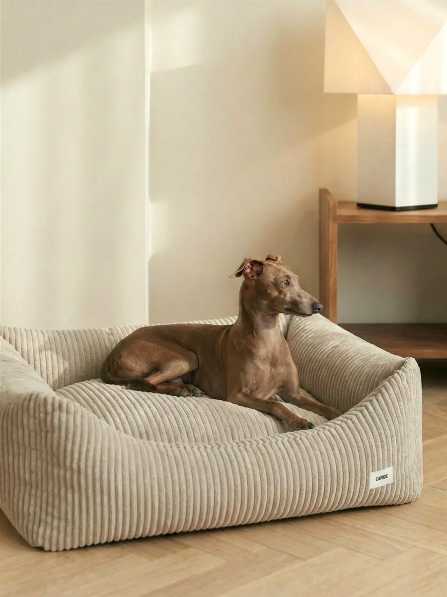 cafide-panier-pour-chien-premium-Snozy-velours-cotele-beige