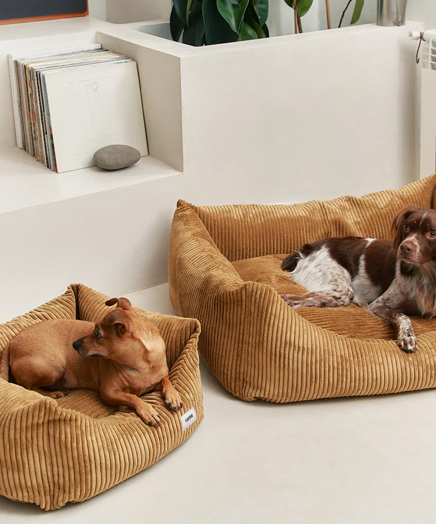 cafide-panier-pour-chien-premium-Snozy-velours-cotele-moutarde