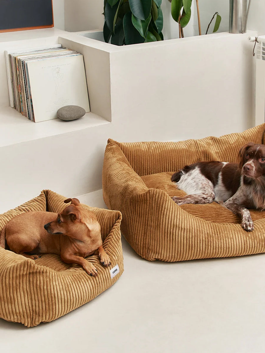 cafide-panier-pour-chien-premium-Snozy-velours-cotele-moutarde
