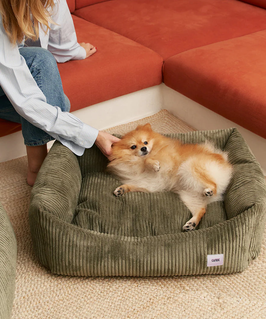 cafide-panier-pour-chien-premium-Snozy-velours-cotele-vert