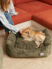 cafide-panier-pour-chien-premium-Snozy-velours-cotele-vert
