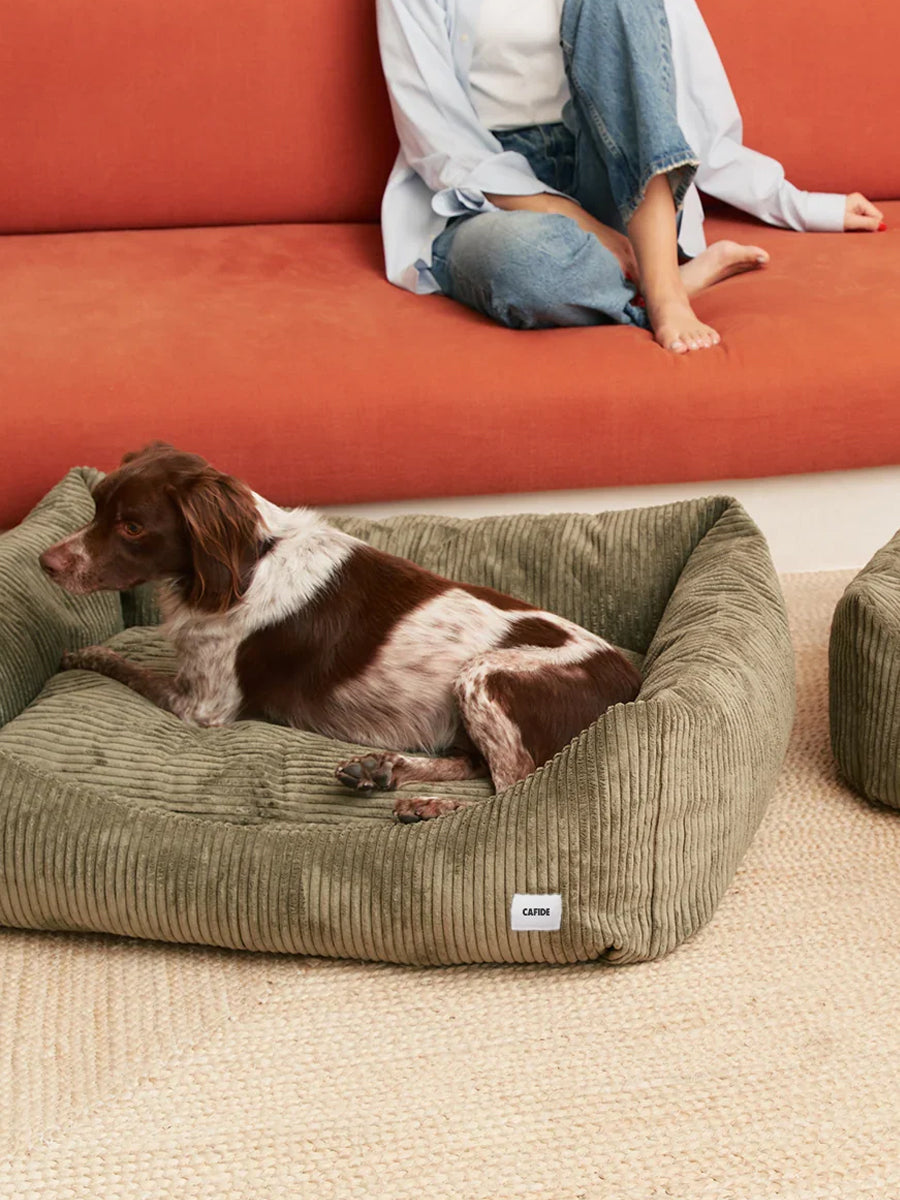 cafide-panier-pour-chien-premium-Snozy-velours-cotele-vert