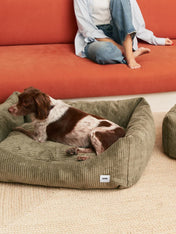 cafide-panier-pour-chien-premium-Snozy-velours-cotele-vert