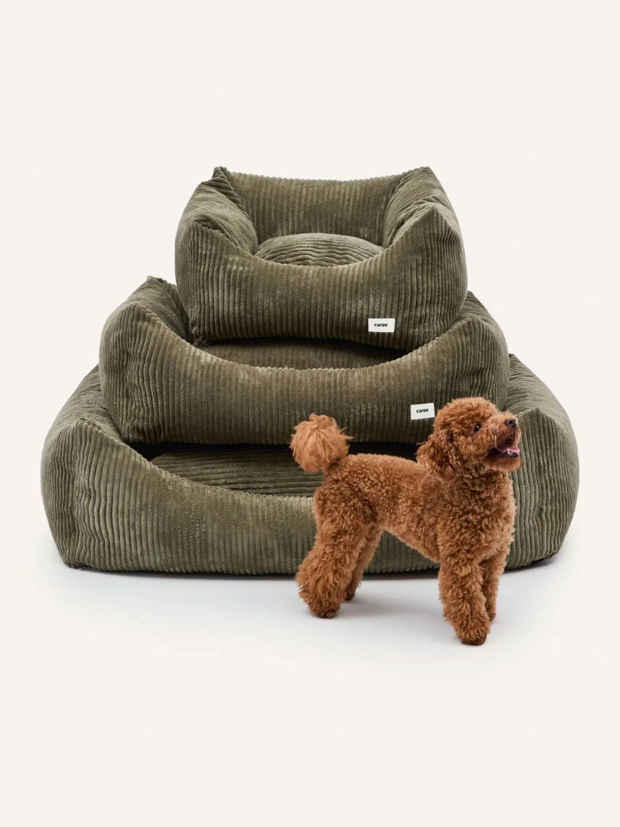 cafide-panier-pour-chien-premium-Snozy-velours-cotele-vert