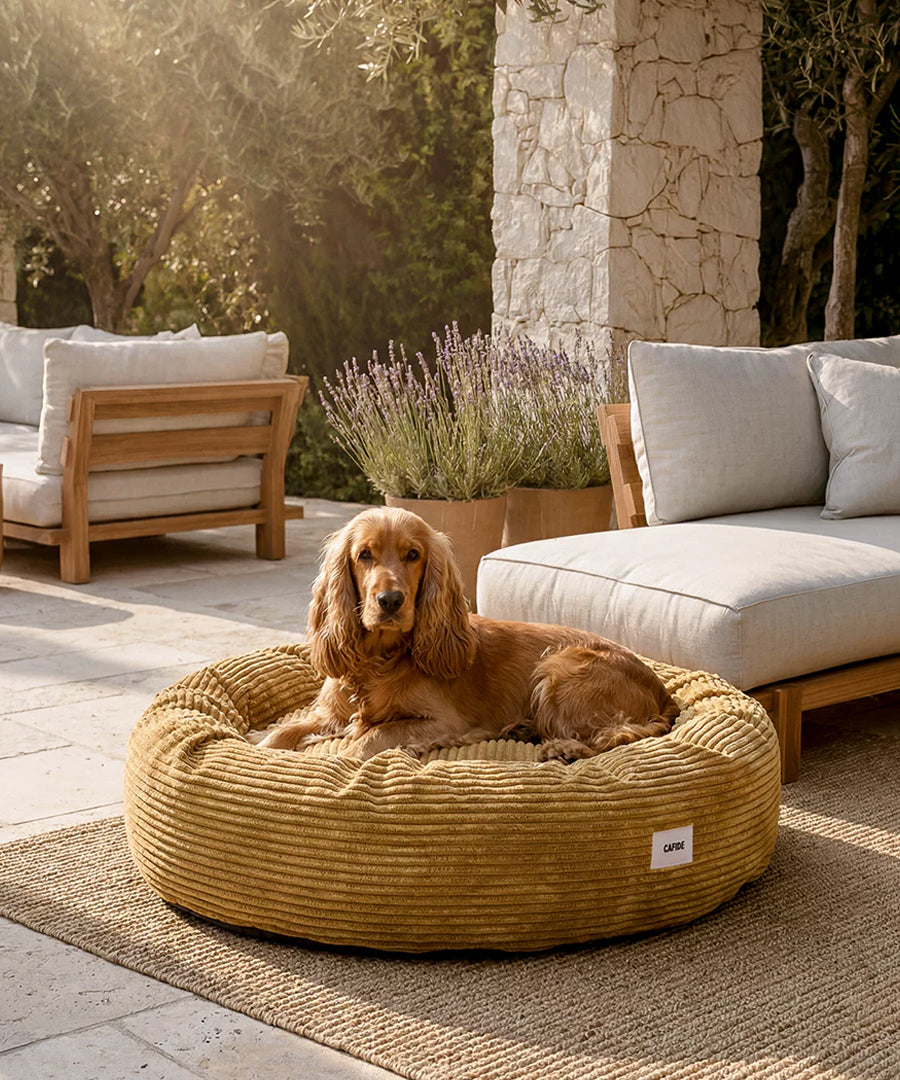 cafide-panier-rond-pour-chien-premium-nuba-velours-cotele-moutarde