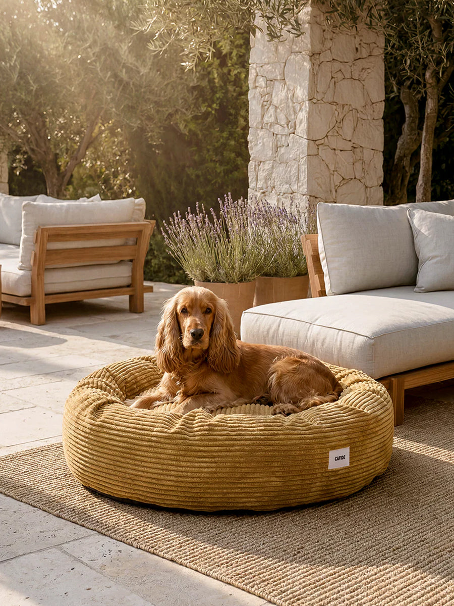 cafide-panier-rond-pour-chien-premium-nuba-velours-cotele-moutarde