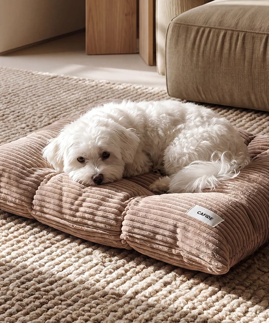 cafide-panier-tapis-pour-chien-premium-bela-Velours-Cotele-mocca