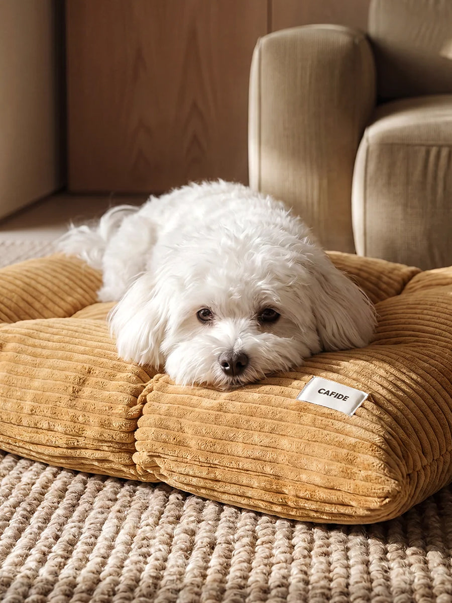 cafide-panier-tapis-pour-chien-premium-bela-Velours-Cotele-moutarde