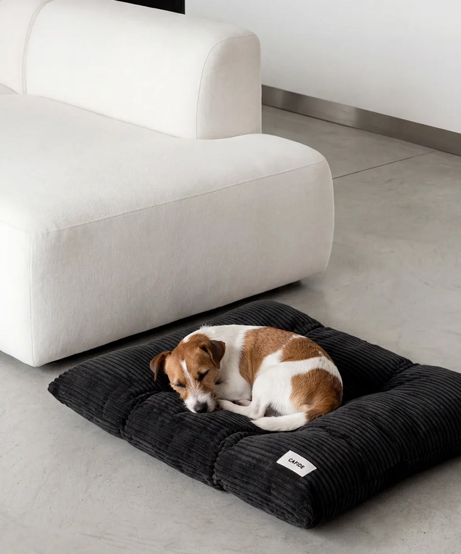 cafide-panier-tapis-pour-chien-premium-bela-Velours-Cotele-noir