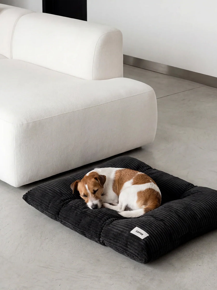 cafide-panier-tapis-pour-chien-premium-bela-Velours-Cotele-noir