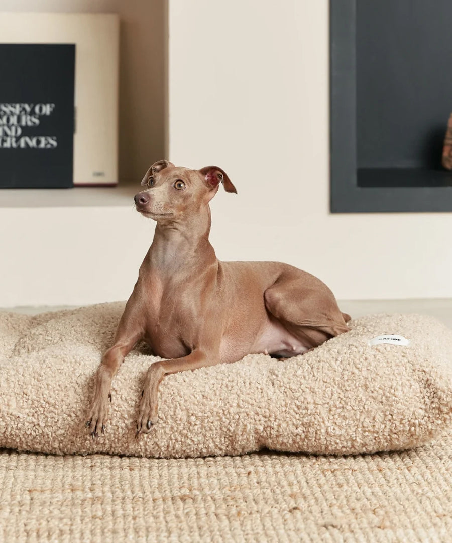 cafide-panier-tapis-pour-chien-premium-bela-bouclette-beige
