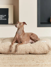 cafide-panier-tapis-pour-chien-premium-bela-bouclette-beige