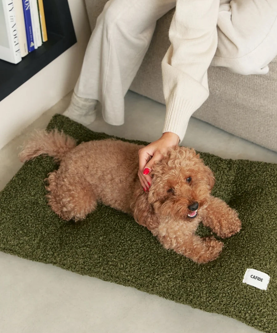 cafide-panier-tapis-pour-chien-premium-bela-bouclette-vert